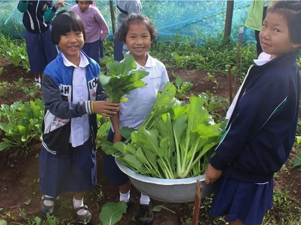 Children in the plant field