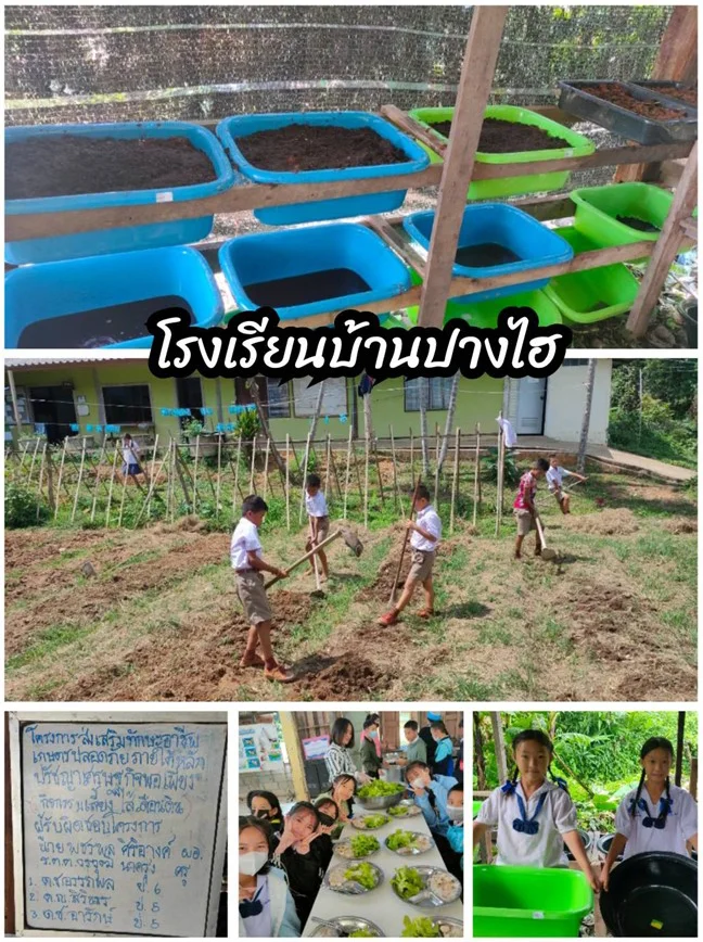 Agroecology for safe school lunch